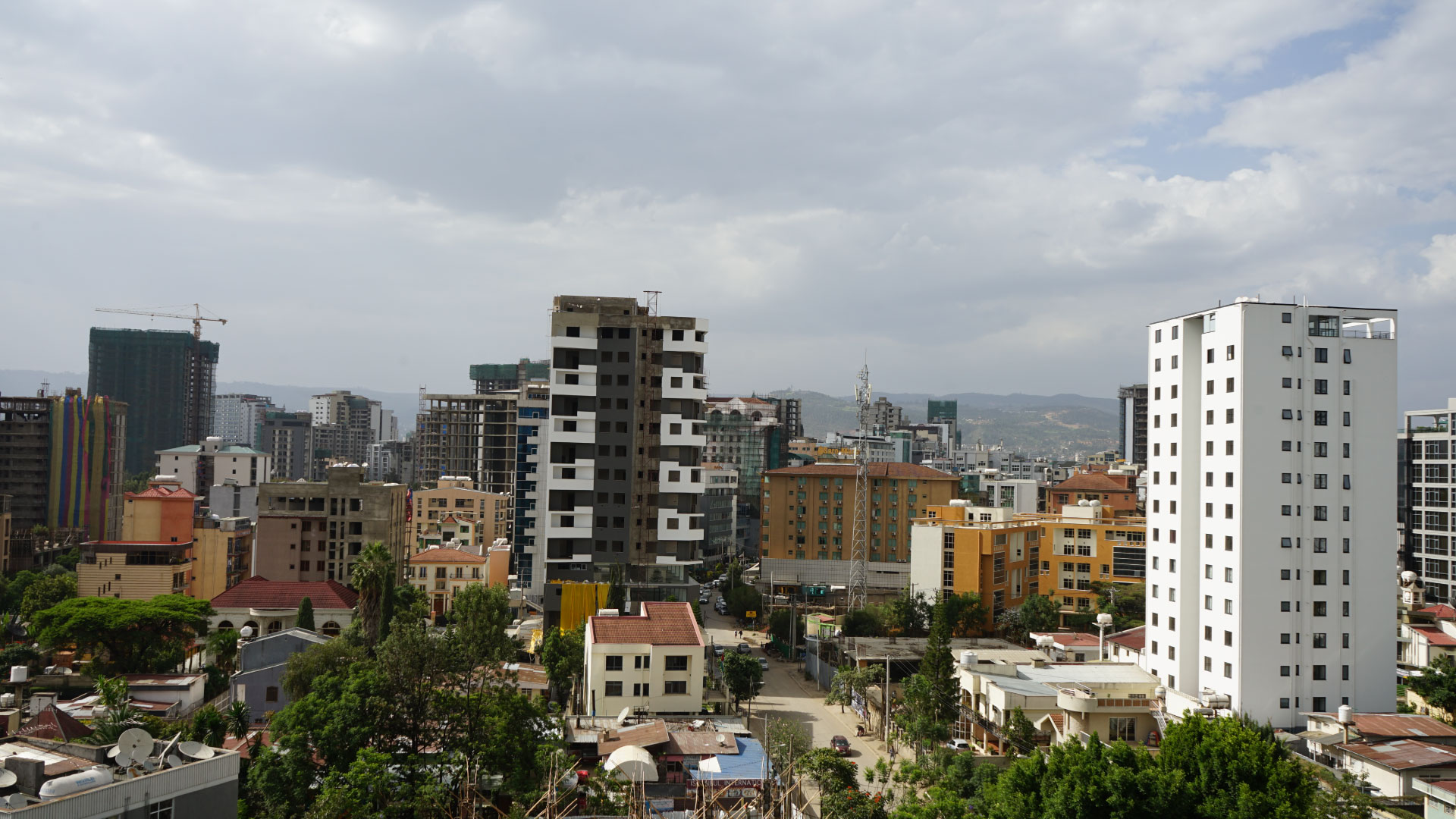 tbam featured project